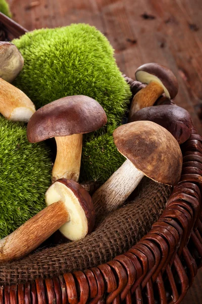 Fresh mushrooms in basket. — Stock Photo, Image
