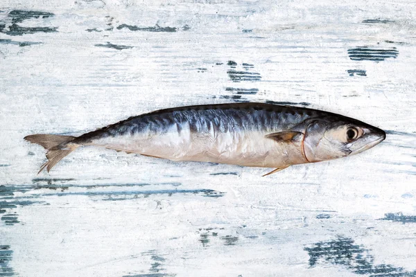 Fresh mackerel on white wooden background. — Stock Photo, Image