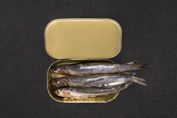 Canned sardines — Stock Photo, Image