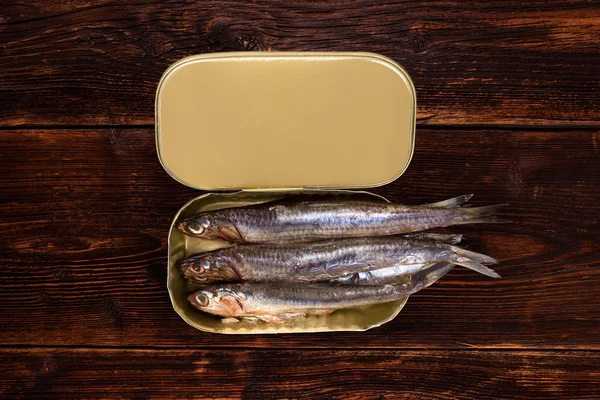 Sardines in can. — Stock Photo, Image