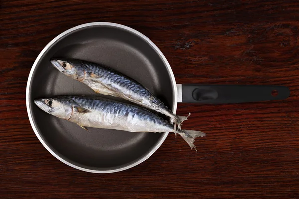 Fresh mackerel fish on pan. — Stock Photo, Image