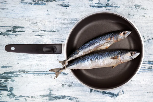 Pescado de caballa fresco en sartén . — Foto de Stock