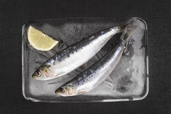 Pescado fresco de anchoa sobre hielo . —  Fotos de Stock