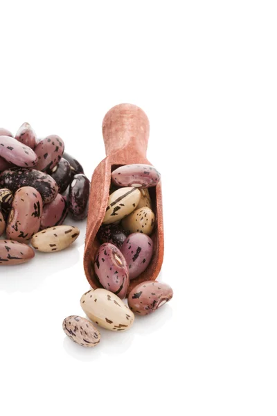Pinto bonen, gezonde peulvruchten. — Stockfoto