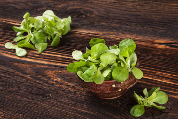 Fresh lambs lettuce.