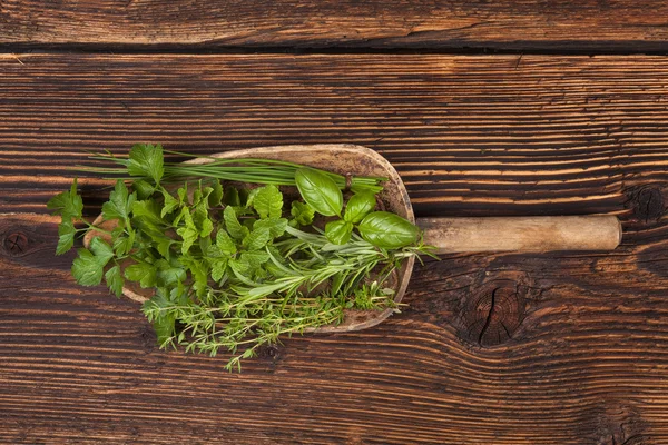 Verschiedene aromatische Küchenkräuter, rustikaler Stil. — Stockfoto