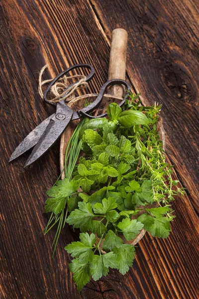 Различные ароматические кулинарные травы, деревенский стиль . — стоковое фото