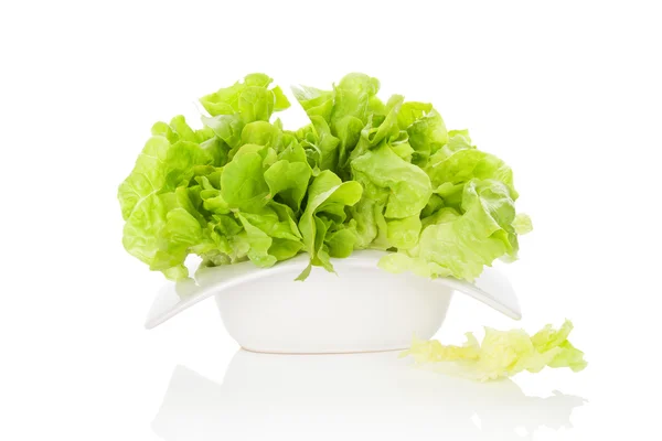 Frischer grüner Salat. — Stockfoto