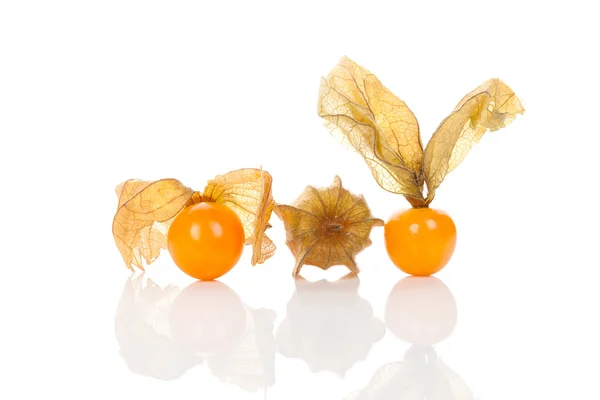 Physalis, ground cherry — 图库照片