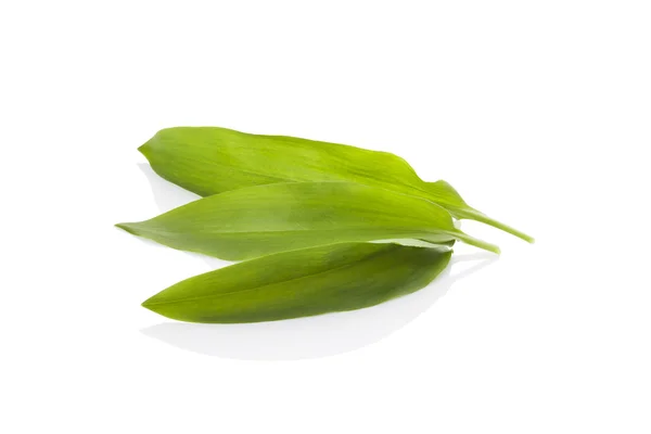 Wild garlic isolated on white background. — Stock Photo, Image