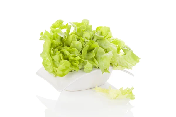 Fresh green salad. — Stock Photo, Image