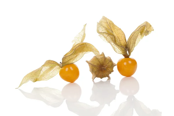 Physalis, cereja moída . — Fotografia de Stock