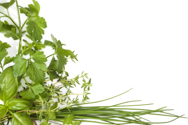 Culinary herbs background with copy space. — Stock Photo, Image
