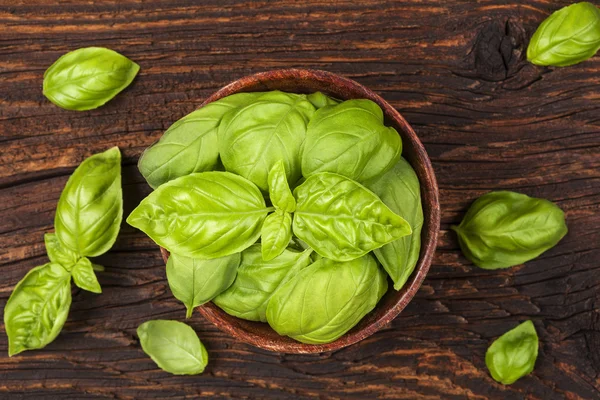 Basil herbs. — Stock Photo, Image