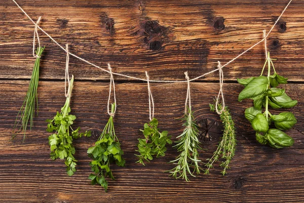 Hierbas culinarias . — Foto de Stock