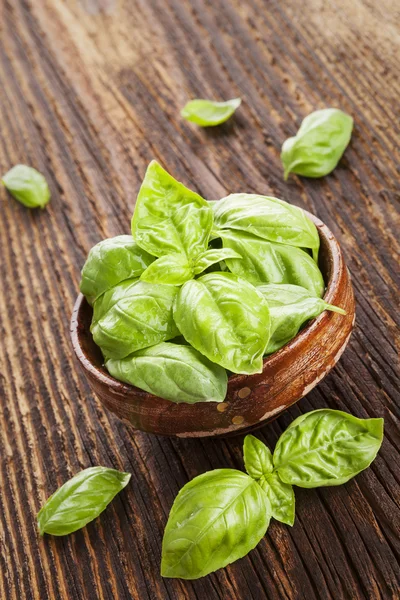 Basil herbs. — Stock Photo, Image