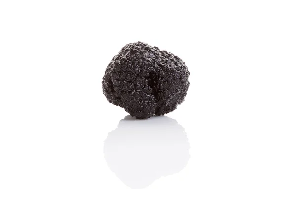 Tartufo. — Foto Stock