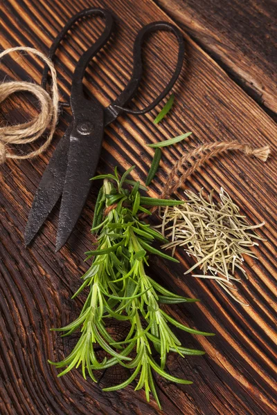 Vers en droog rozemarijn kruid. — Stockfoto