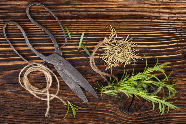 Vers en droog rozemarijn kruid. — Stockfoto