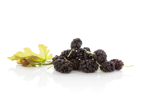 Mulberry frukt. — Stockfoto