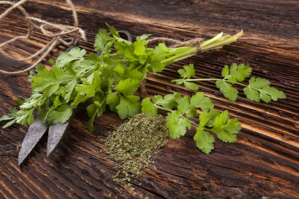 Fresh and dry coriander herb. — Stock Photo, Image