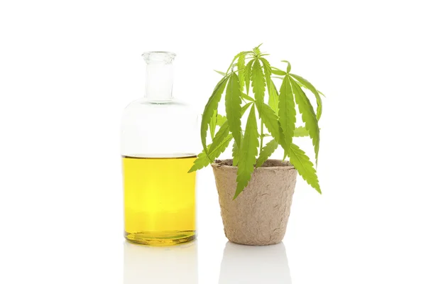 Cannabis oil. — Stock Photo, Image