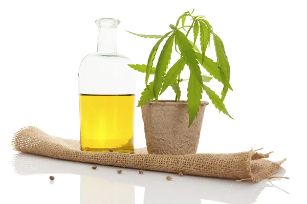 Cannabis oil. — Stock Photo, Image