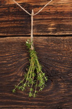 kekik herb.