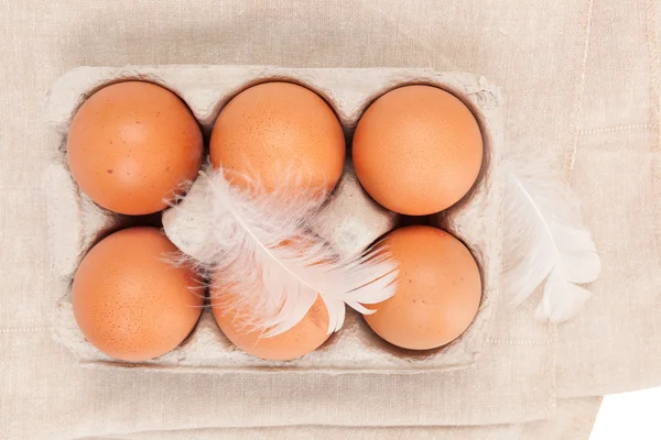 Huevos de pollo ecológicos . —  Fotos de Stock