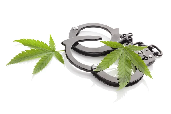 Marihuana en handboeien. — Stockfoto