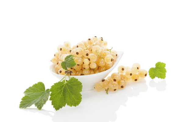 Delicious white currant. — Stock Photo, Image