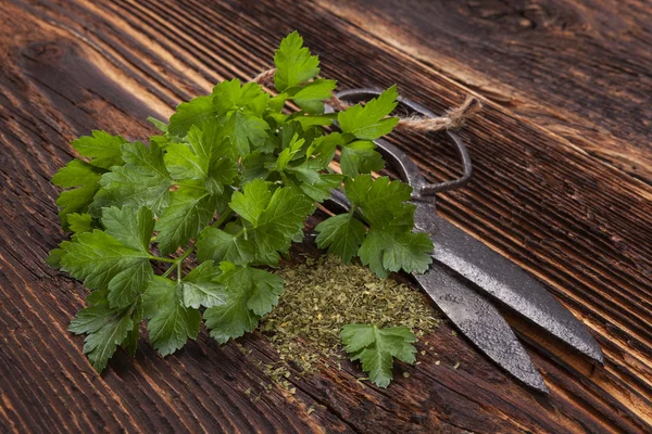 Fresh and dry parsley. — Stock Photo, Image