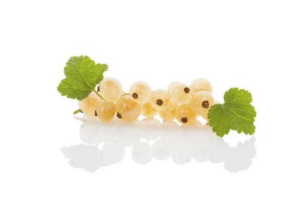 Delicious white currant. — Stock Photo, Image