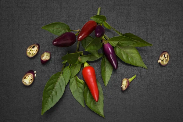 Pimiento chile . — Foto de Stock