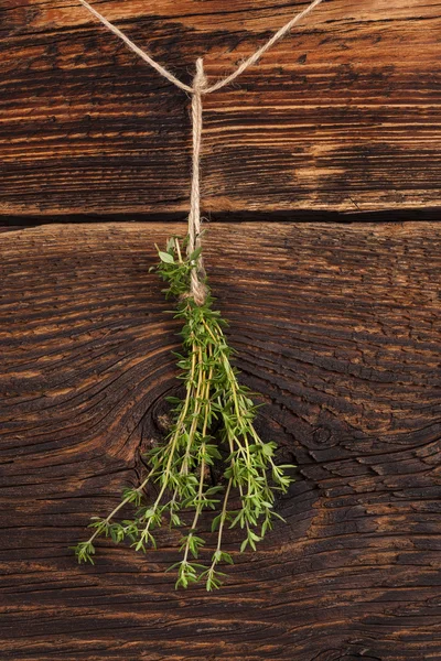 Tijm kruid. — Stockfoto