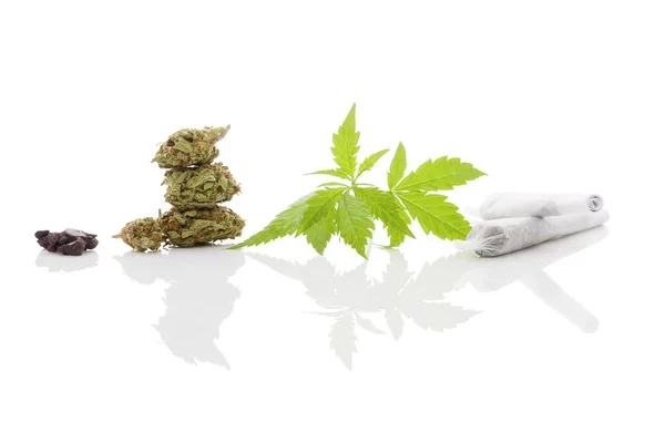 Medicinsk marijuana. — Stockfoto