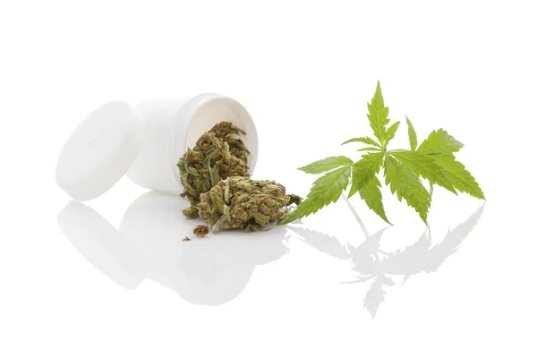 Lékařská marihuana — Stock fotografie
