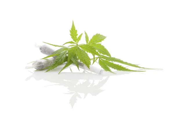 Marijuana background. — Stock Photo, Image