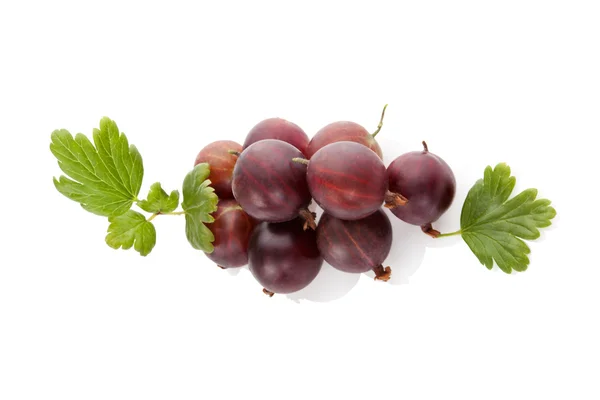 Ripe red gooseberries. — Stock Photo, Image