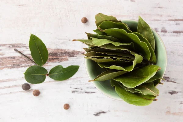 Culinary bay leaves. — Stock Photo, Image