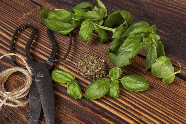 Manjericão, Ervas aromáticas culinárias . — Fotografia de Stock