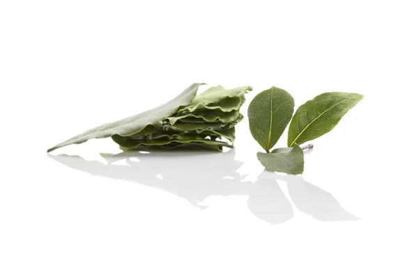 Bay leaves isolated. — Stock Photo, Image