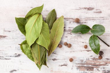 defne yaprağı arka plan.