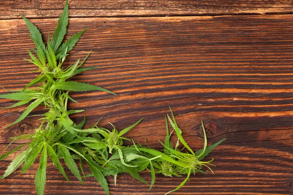 Cannabis bud dřevěný stůl. — Stock fotografie