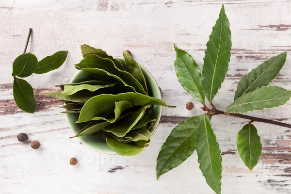 Bay leaves background. — Stock Photo, Image