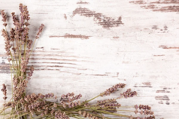 Lavender rustic background. — Stock Photo, Image