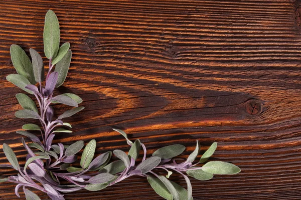 Μαγειρική βότανο φασκόμηλο σε ξύλινα φόντο. — Φωτογραφία Αρχείου