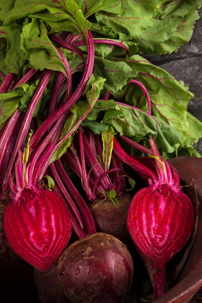 Beet root skörd. — Stockfoto