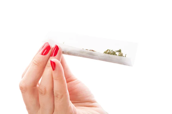 Förbereda ett cannabis gemensamt. — Stockfoto