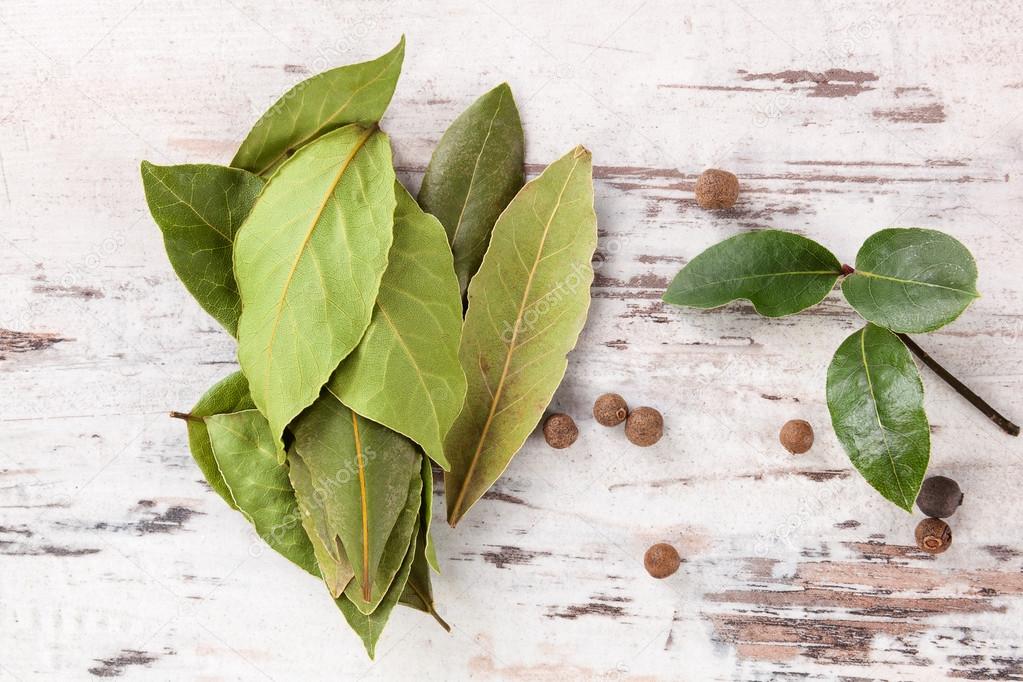 Bay leaves background.
